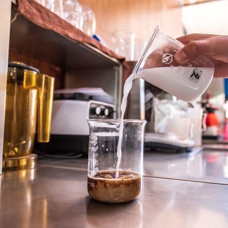 Non Dairy Creamer for Coffee