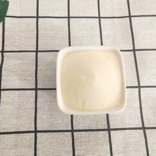 Oyster Oligopeptide Powder