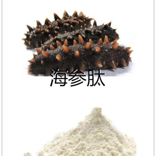 Sea Cucumber Oligopeptide Powder